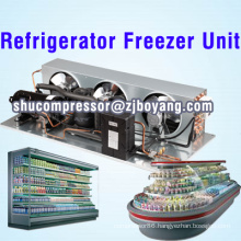 Refrigerator freezer unit for Haagendaz Batch freezers Hard Ice Cream Maker